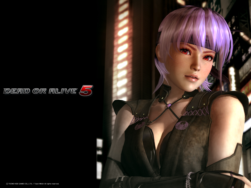 dead or alive 5 download pc