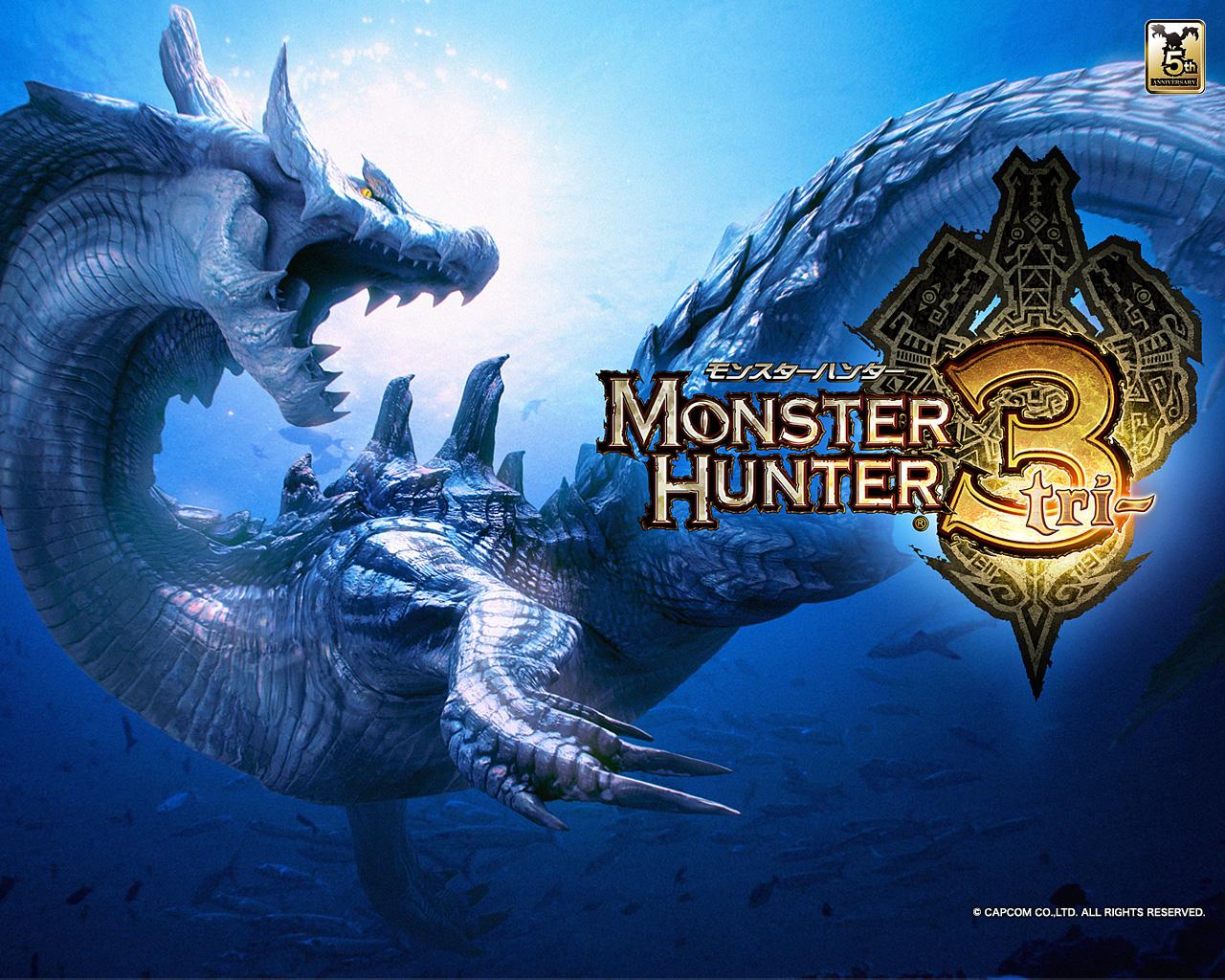 Monster Hunter Tri Servers Will Be Shut Down April 30th