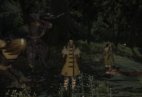Final Fantasy XIV - How to use your Chocobo in battle