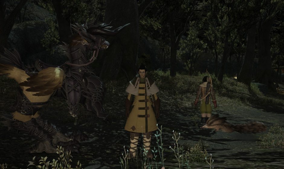 Final Fantasy XIV – How to use your Chocobo in battle