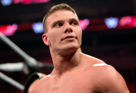 Tyson Kidd Confirmed To Be In The WWE 2K18 Roster